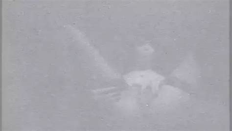 Free Private Show Porn Videos Xhamster