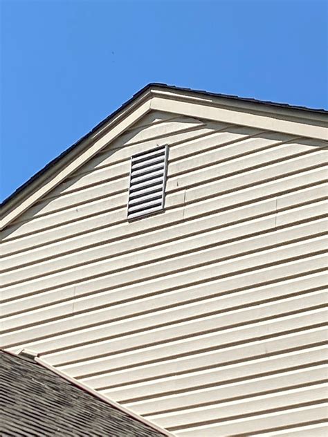 Nest in attic vent? : r/WaspHating