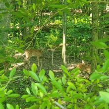 Nellebeachgirl Nude OnlyFans Leaks 2025 Fapopedia