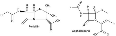 β Lactam Antibiotics Penicillins Cephalosporins And Related Drugs