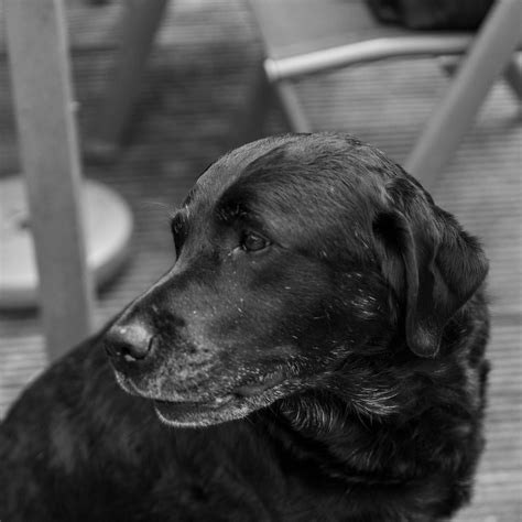 2022 Tits And Bits Shann Munro Flickr