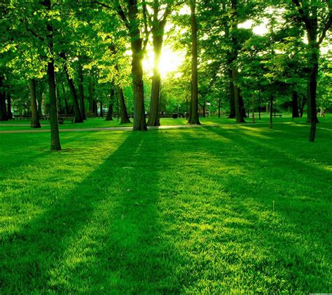 New green burials are coming to the woods mortuary 15