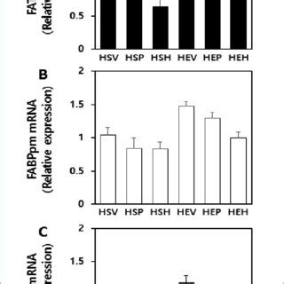 Target Mrna Levels Determined By Real Time Qpcr In Ovx Rats Plantaris