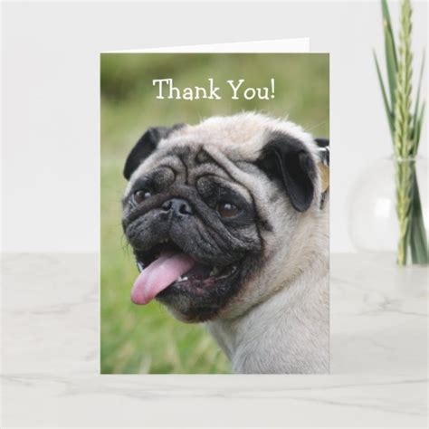 Pug Dog Thank You Greeting Card Cute Photo