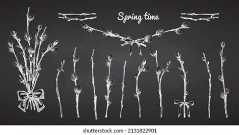 Pussy Willow Silhouette Images Stock Photos Vectors Shutterstock