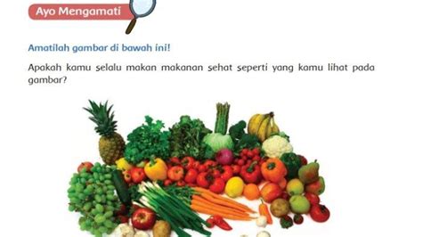 Kunci Jawaban Tema 3 Kelas 5 Halaman 2 3 4 5 Ayo Mengamati Apa Kriteria Makanan Yang Sehat