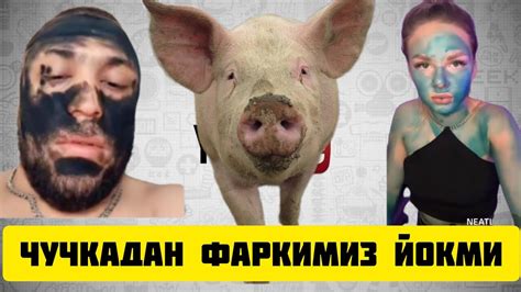 ТИК ТОКЕР САРДОР НЕМАТЛАН МУЗЛАТКИЧЕА КИРИП УХЛА 2 КИСИМ - YouTube