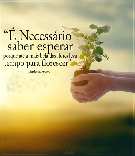 Pensamentos Positivos Para A Vida