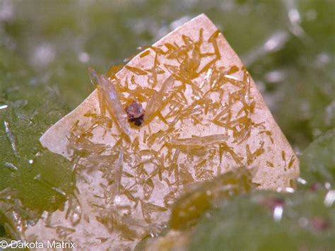 Mimetite Mineral Specimen For Sale