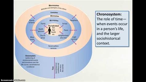 Bronfenbrenner Model Examples