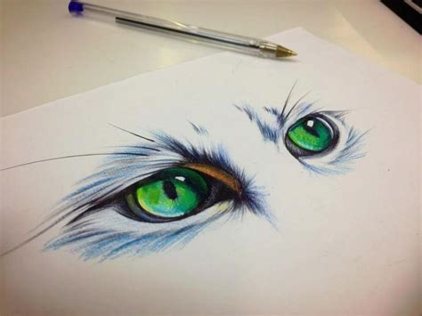 38 Besten Cat Eyes Tattoo Designs Bilder Auf Pinterest Katzenaugen