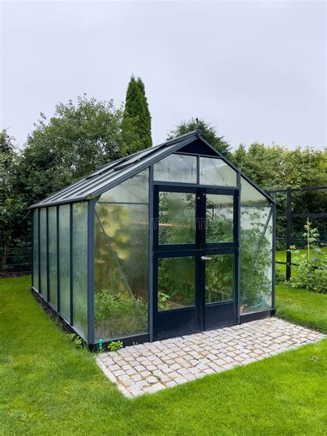 In A Large Greenhouse Thrive Many Vegetables Stock Photo Image Of