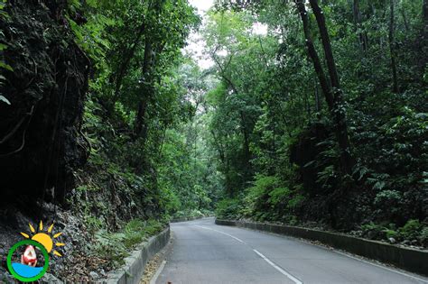 Fern Gully Taste Of Jamaica Tours