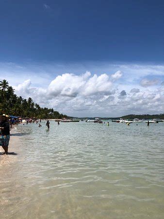 Praia Dos Carneiros Tamandar Atualizado O Que Saber Antes De