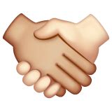 Handshake Medium Light Skin Tone Light Skin Tone Emoji