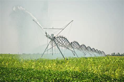 El Ministerio De Agricultura Pesca Y Alimentaci N Destina