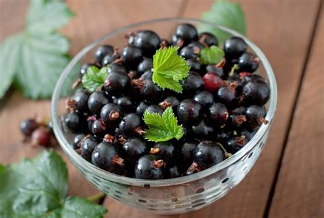 Как приготовить настойки в домашних условиях: 5 обалденно вкусных и ...