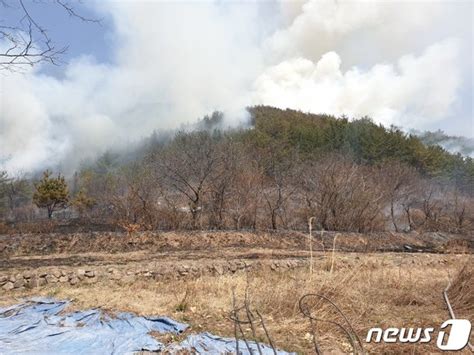 경남 의령서 산불 1시간 30여분 만에 진화80대 여성 1명 화상 네이트 뉴스