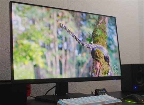 MSI Optix MAG274QRF-QD: Análisis — CILA