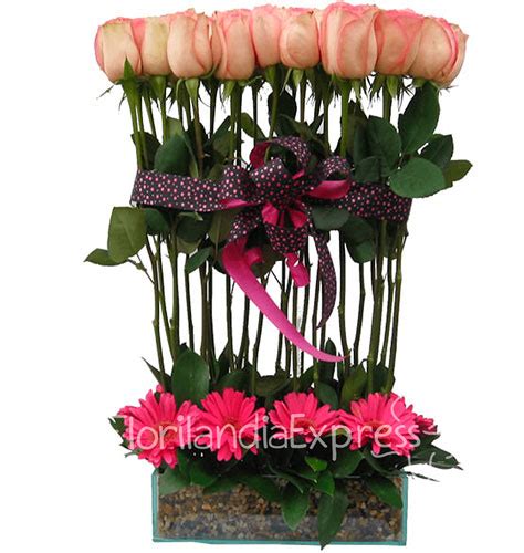 Ramo De Rosas En Bogot Ternura Florilandia Express Florister A