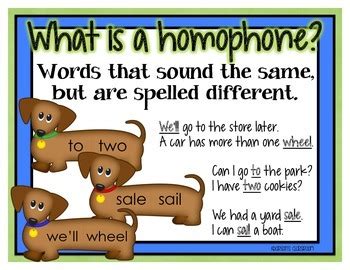 Homophone Homonym Homograph Differentiated Center Unit TpT