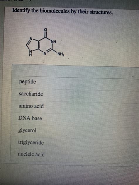 Solved Identify The Biomolecules By Their Structures NH NH2 Chegg