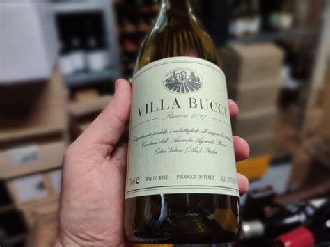 Villa Bucci Verdicchio Riserva 2017: un glorioso vino bianco - Wine Dharma