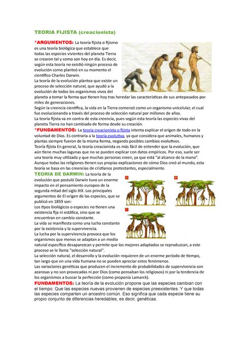 Teoria Fijista ES MUY BUENO LES AYUDARA TEORIA FIJISTA