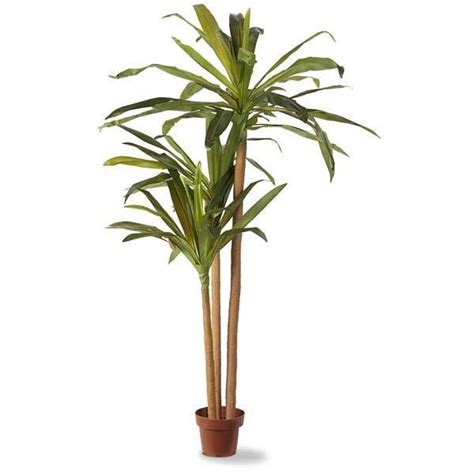 Faux Palm Tree 1D-2693 | Artificial Plants & Trees | AFW.com