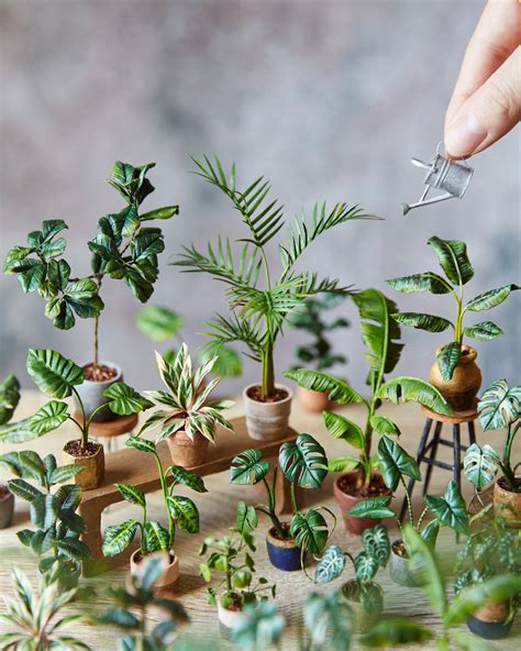 miniature hobbies   ages  skill levels