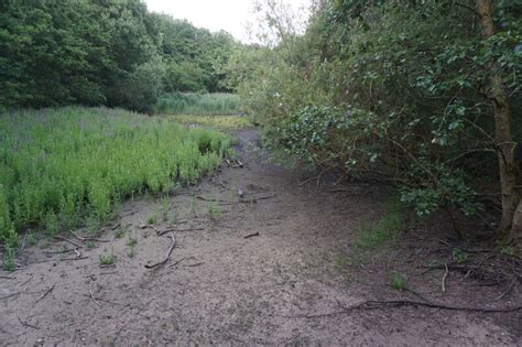 Turf Zone Wickslake Ian S Cc By Sa Geograph Britain And Ireland