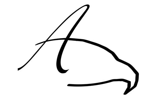 adler financial llc personalized financial planning  services