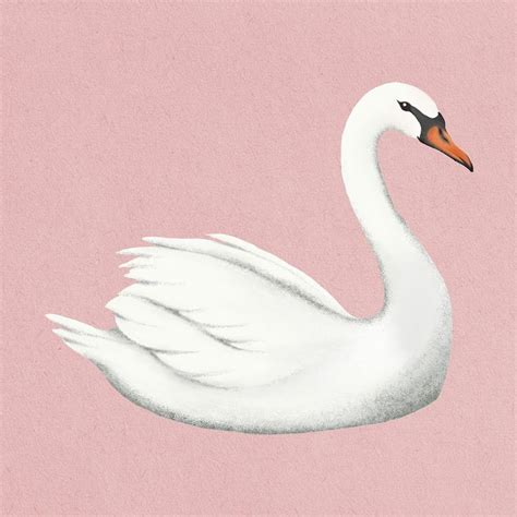 A White Swan Floating On Top Of A Pink Background