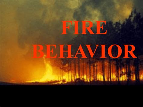 fire behavior wildland fire environment characteristics
