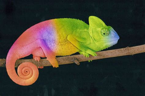 Eloxal Druck | Engel Gruppe