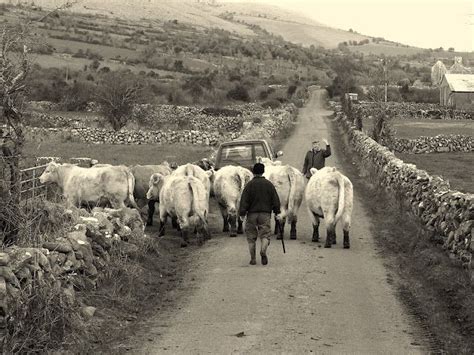 Learn About The Rich Heritage Of Historic Bundoran Artofit