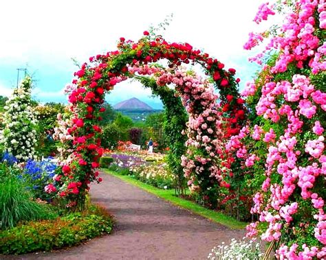 Beautiful Wallpapers Of Flower Gardens