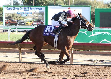 Turf Paradise: Hank Mills Sr. lures Az Ridge