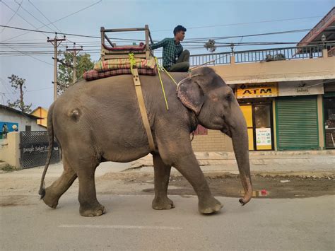 In Nepal, criticizing government conservation policies is becoming harder