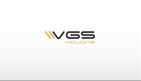 VGS HOLDING: компания - обзор, отзывы - Inp.one