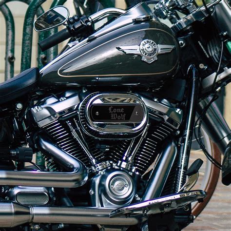 Personalised Harley 114 M8 Air Cleaner Insert Callie