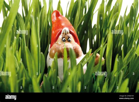 Garden Gnome Garden Decoration Garden Gnomes Garden Decorations