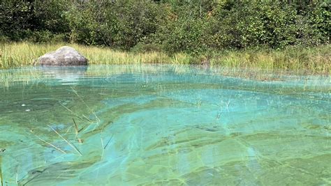 Most of Lake Geneva's beaches are closed due to blue-green algae