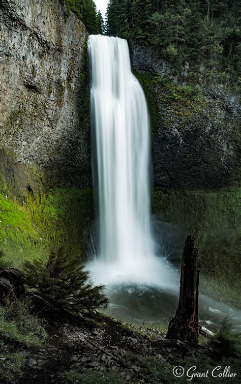 Waterfalls of the Pacific Northwest, Salt Creek Falls