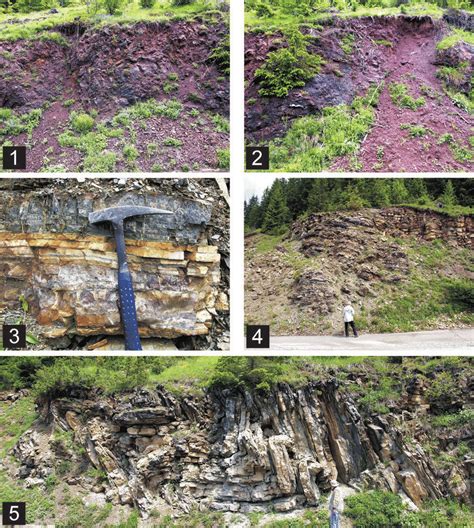 Lithology And Sedimentological Features Of The Late Anisian To Early