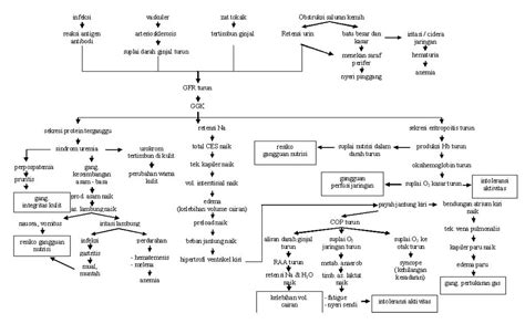 Pathway Gagal Ginjal Kronis Teguh Subianto
