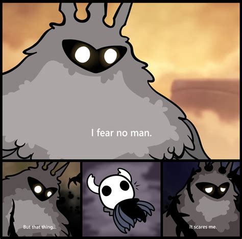 Funny Hollow Knight Memes