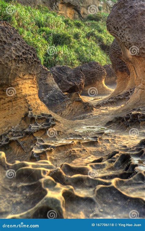 Strange Sand Rock Formation Of A Coast Stock Photo Image Of Erosion