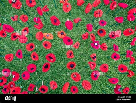 2018 Remembrance Day Poppy Project Display Of Handcrafted Poppies In