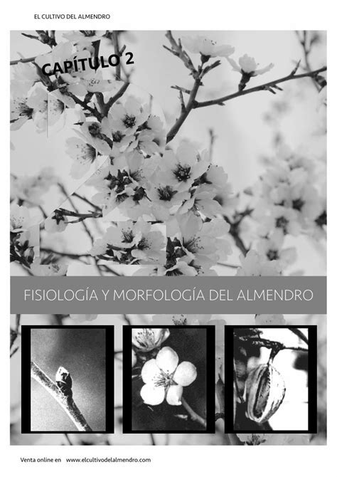 PDF FISIOLOGÍA Y MORFOLOGÍA DEL ALMENDRO FISIOLOGÍA Y MORFOLOGÍA